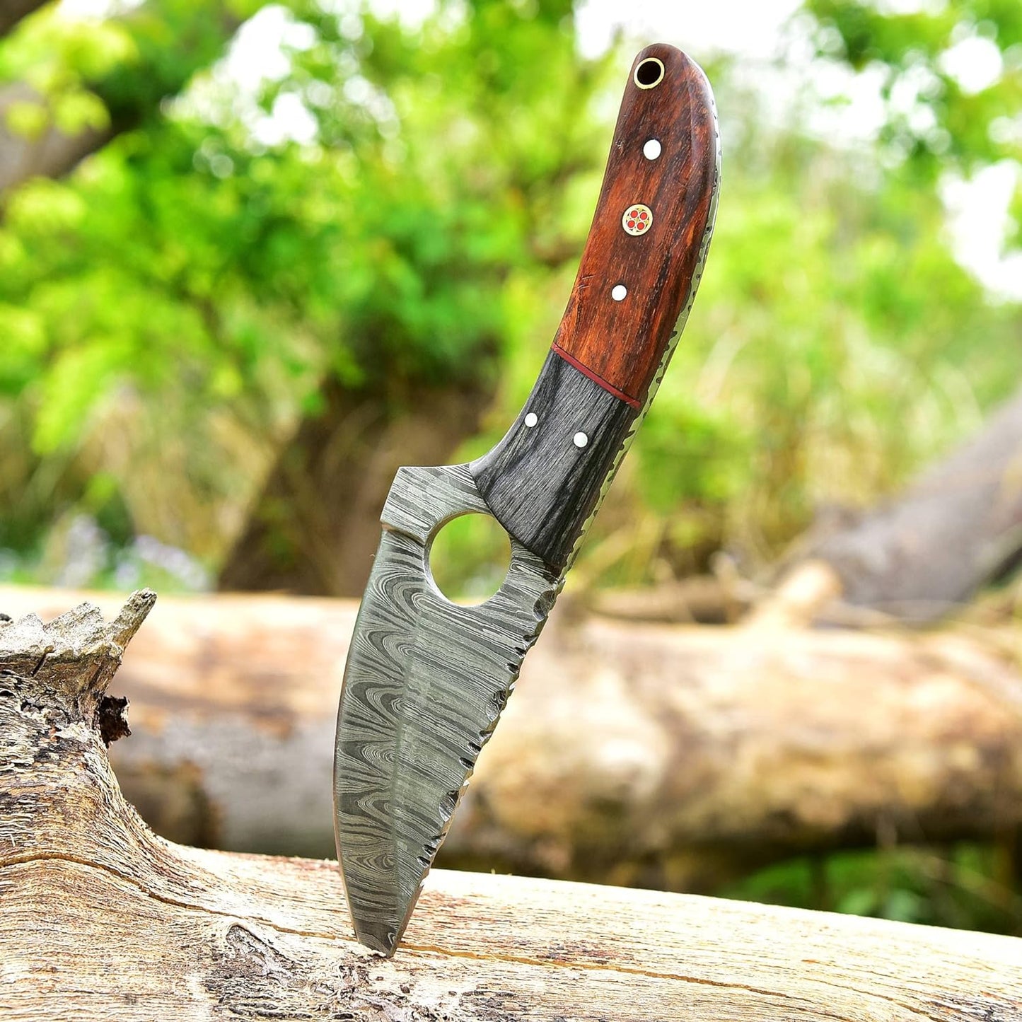 8.5 Inches Fixed Blade Bushcraft Knife with Pakka Wood & Rose Wood Handle