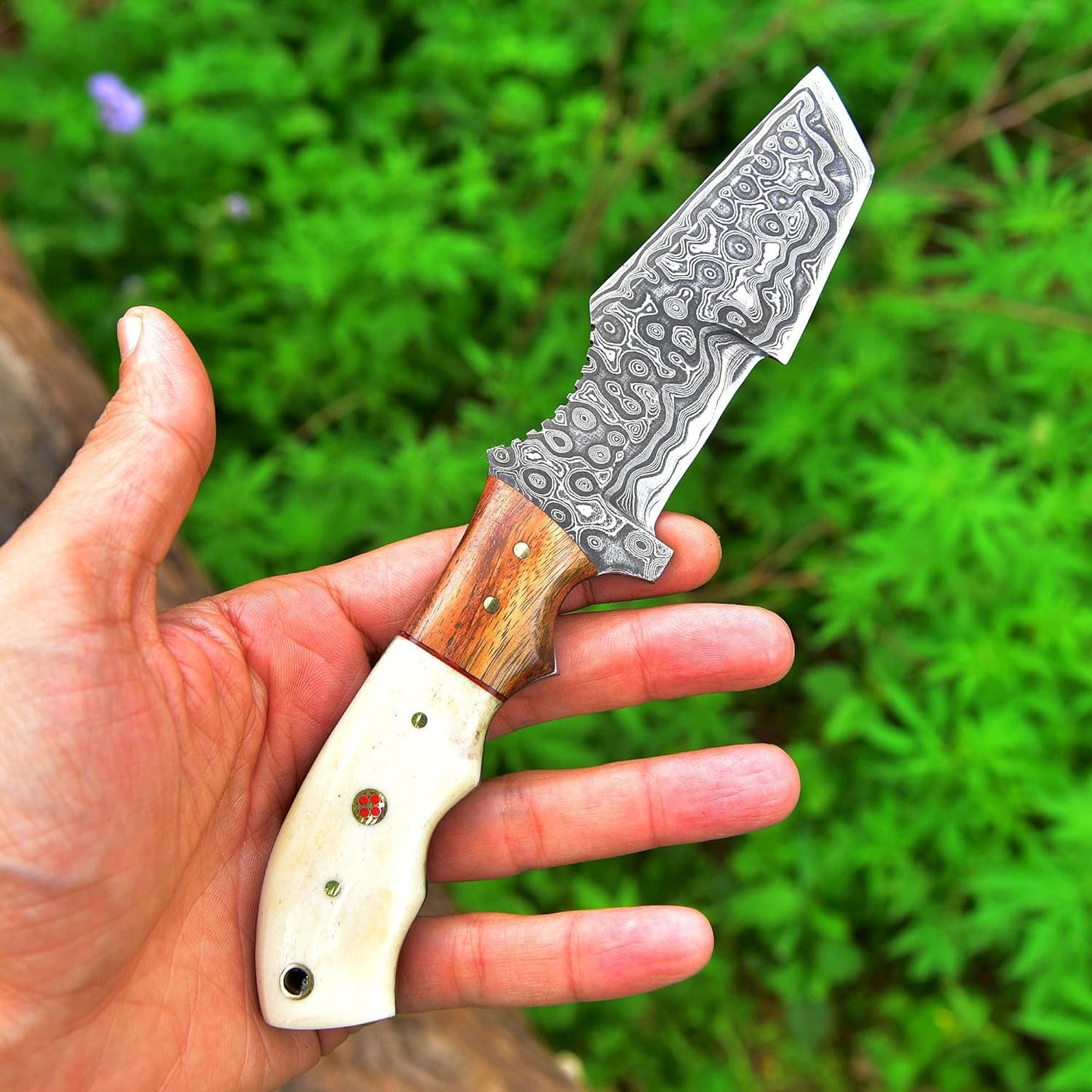 8.5 Inches Fixed Blade Knife with Camel Bone & Rose Wood Handle