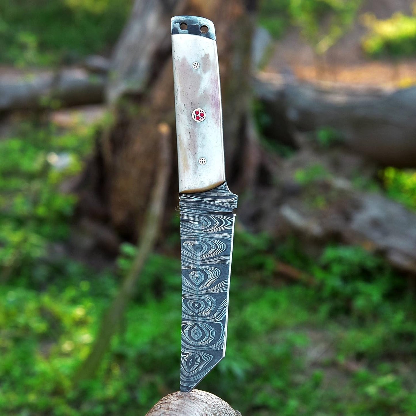 9.5 Inches Fixed Blade Tanto Full Tang Knife with Camel Bone Handle