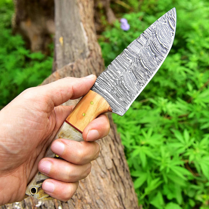 9.5 Inches Fixed Blade Bushcraft Knife with Olive Wood & Ram Horn Handle