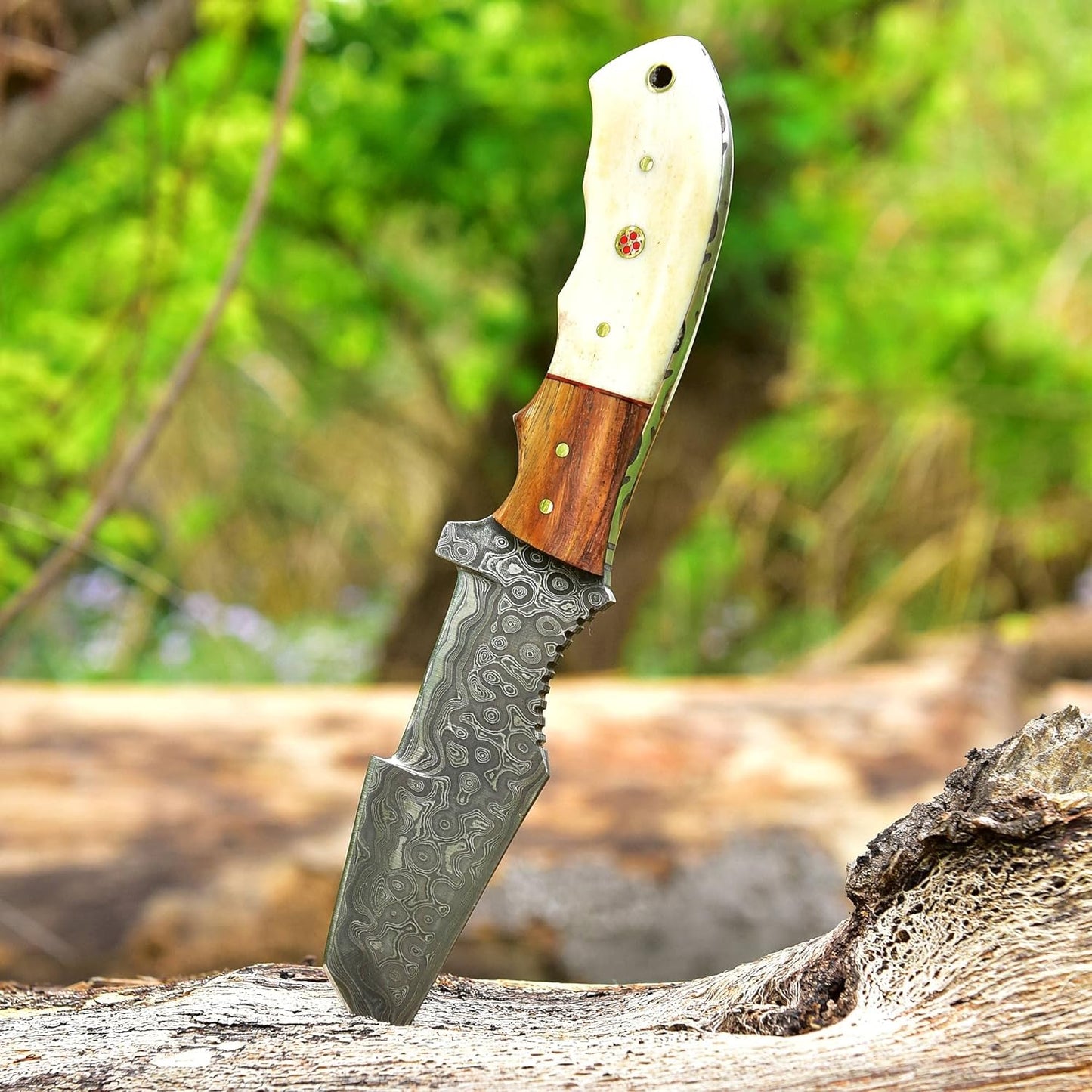 8.5 Inches Fixed Blade Knife with Camel Bone & Rose Wood Handle