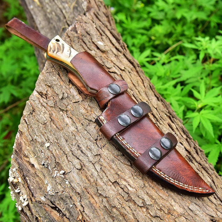 9.5 Inches Fixed Blade Bushcraft Knife with Olive Wood & Ram Horn Handle