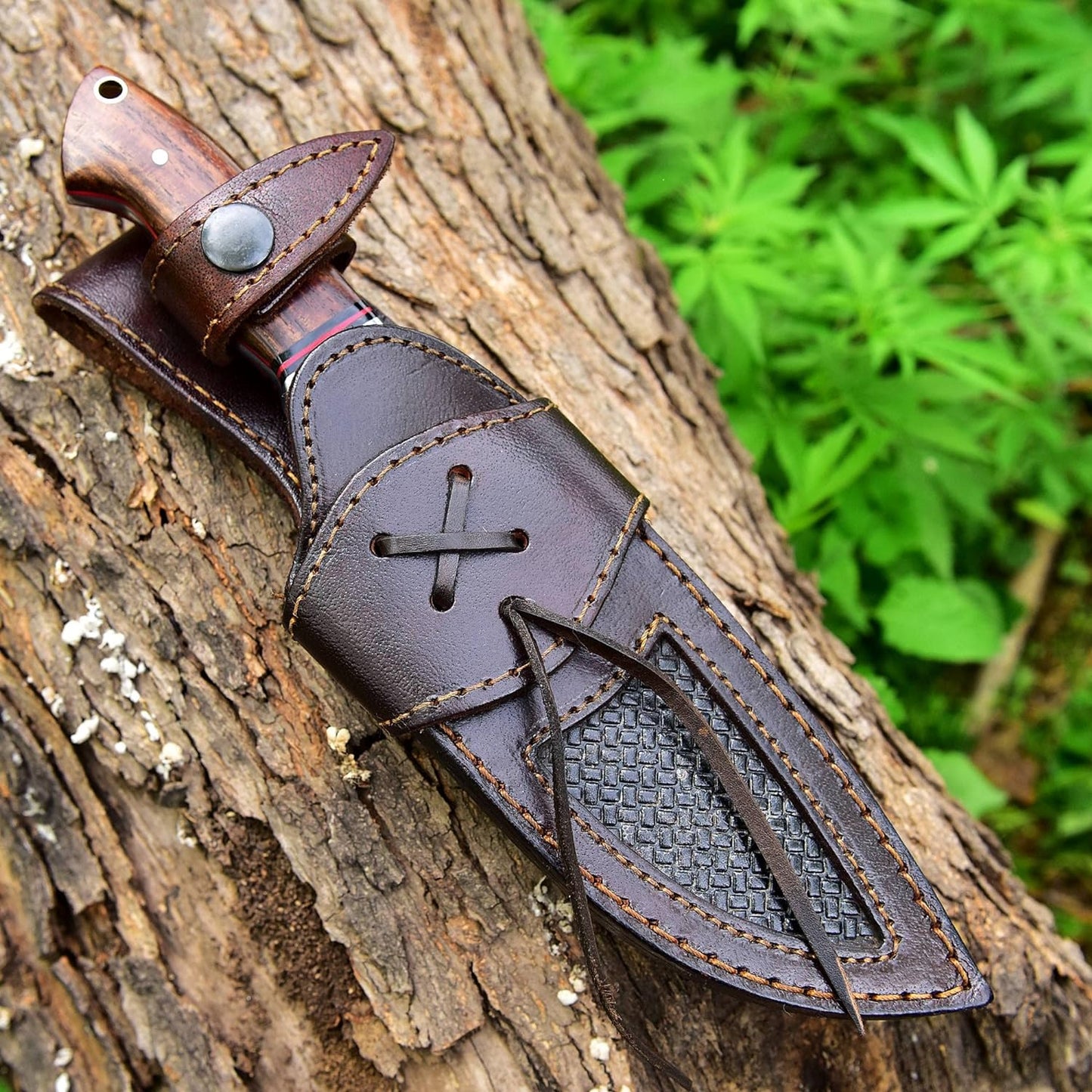 9 Inches Fixed Blade Bushcraft Knife with Rose Wood Handle