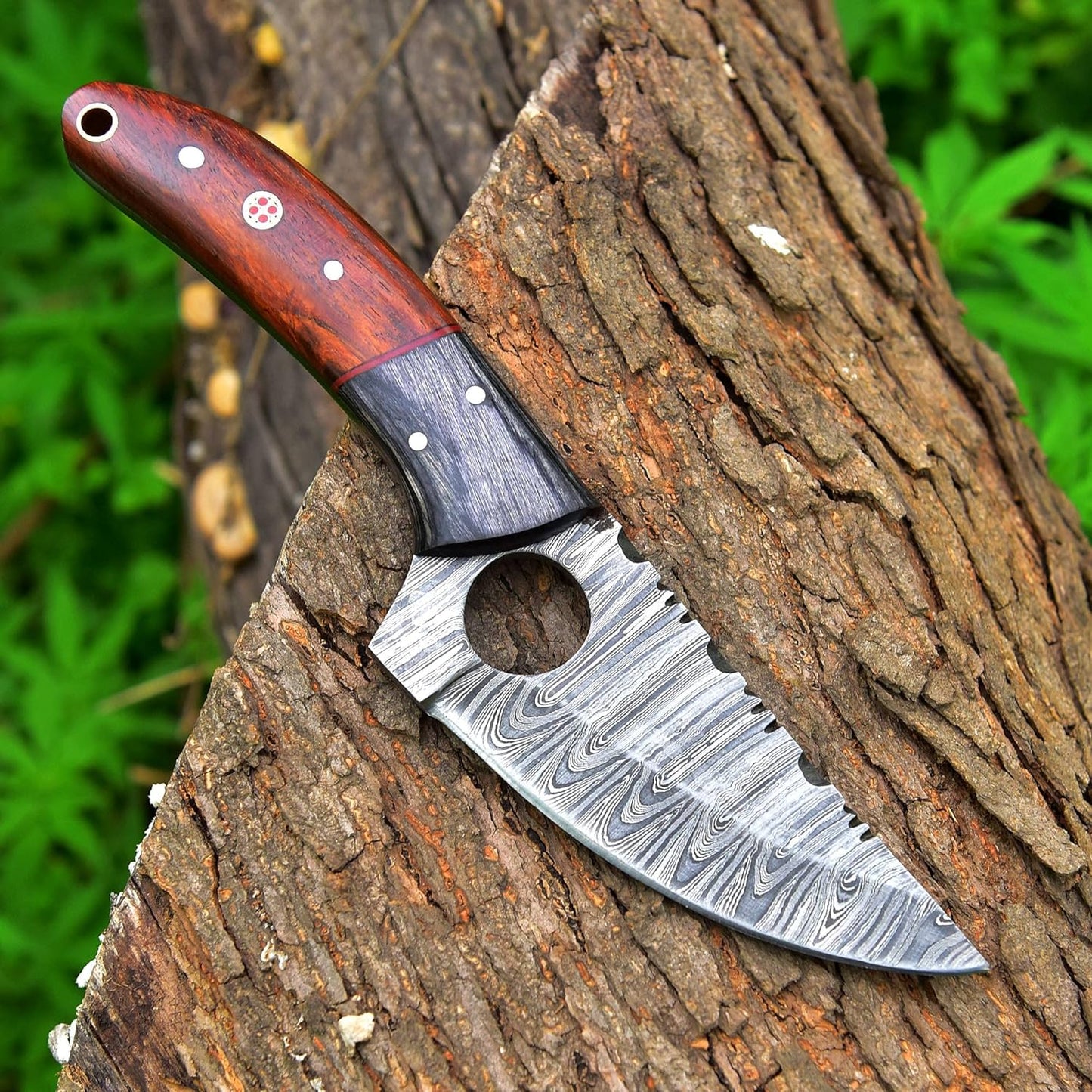 8.5 Inches Fixed Blade Bushcraft Knife with Pakka Wood & Rose Wood Handle