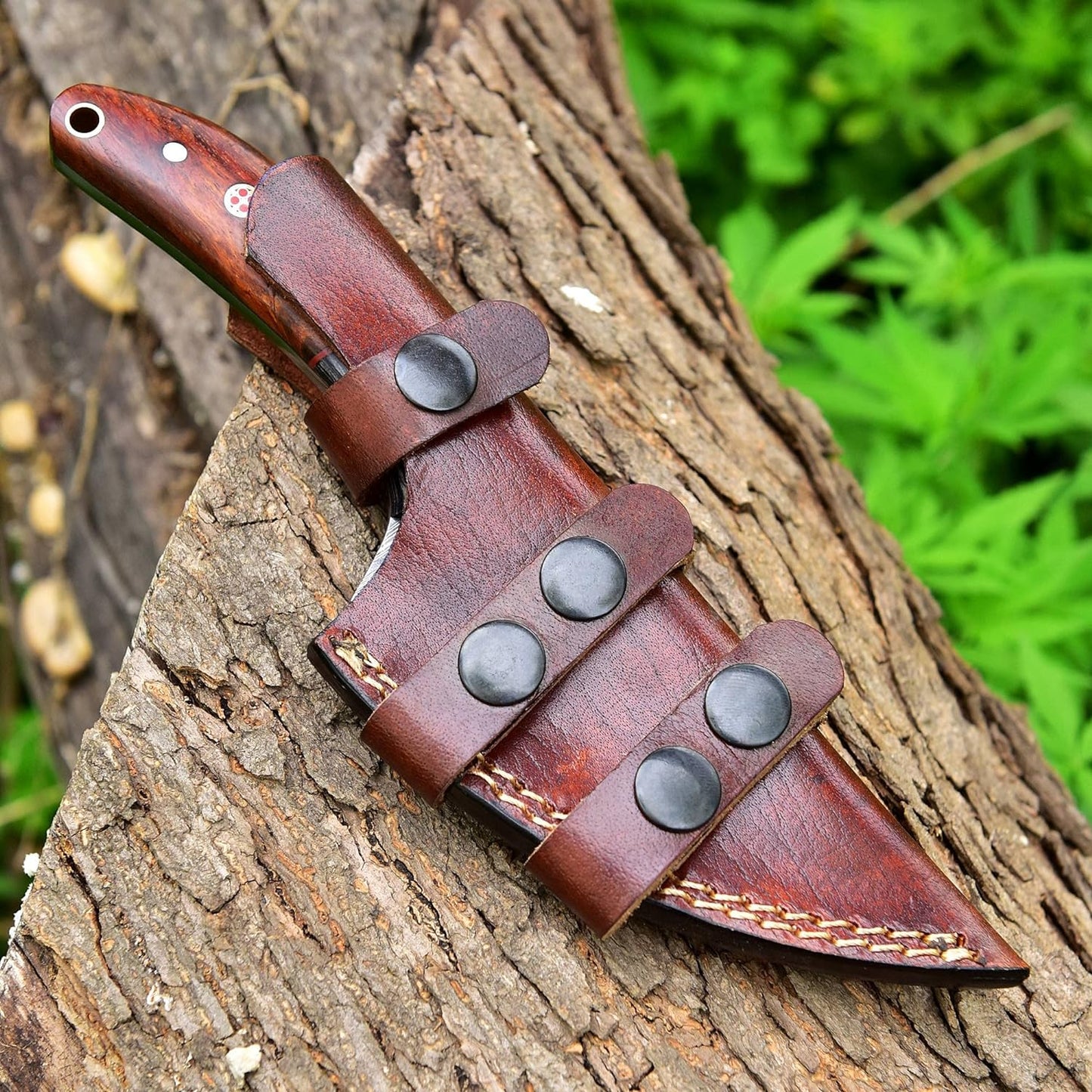 8.5 Inches Fixed Blade Bushcraft Knife with Pakka Wood & Rose Wood Handle