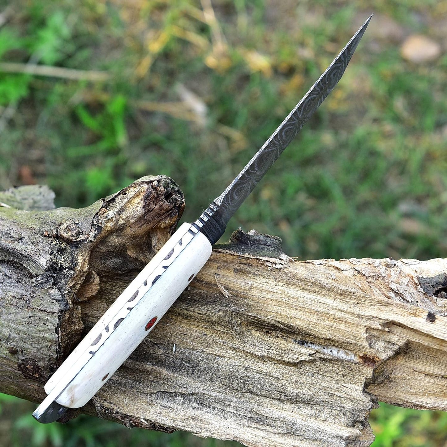 9.5 Inches Fixed Blade Tanto Full Tang Knife with Camel Bone Handle