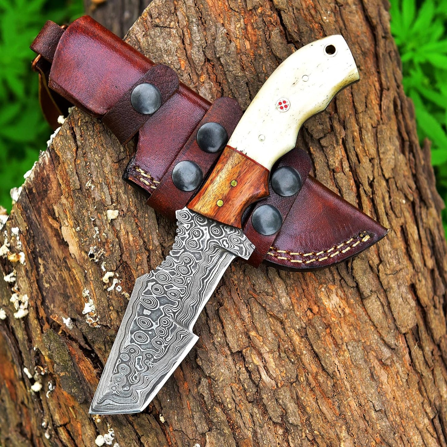 8.5 Inches Fixed Blade Knife with Camel Bone & Rose Wood Handle