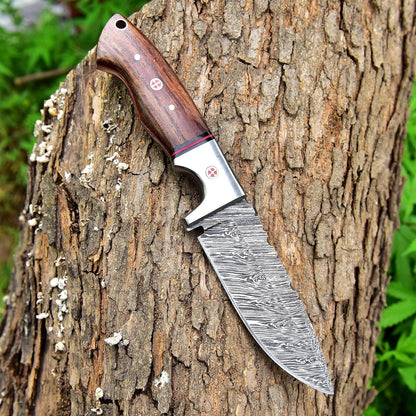 9 Inches Fixed Blade Bushcraft Knife with Rose Wood Handle