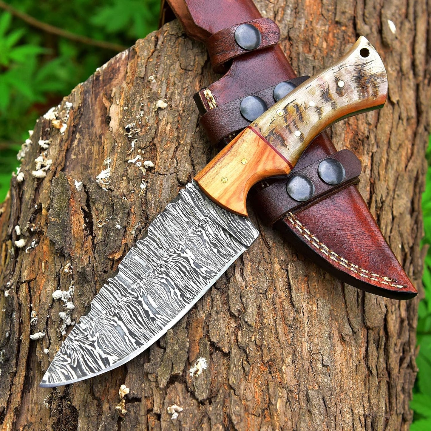 9.5 Inches Fixed Blade Bushcraft Knife with Olive Wood & Ram Horn Handle